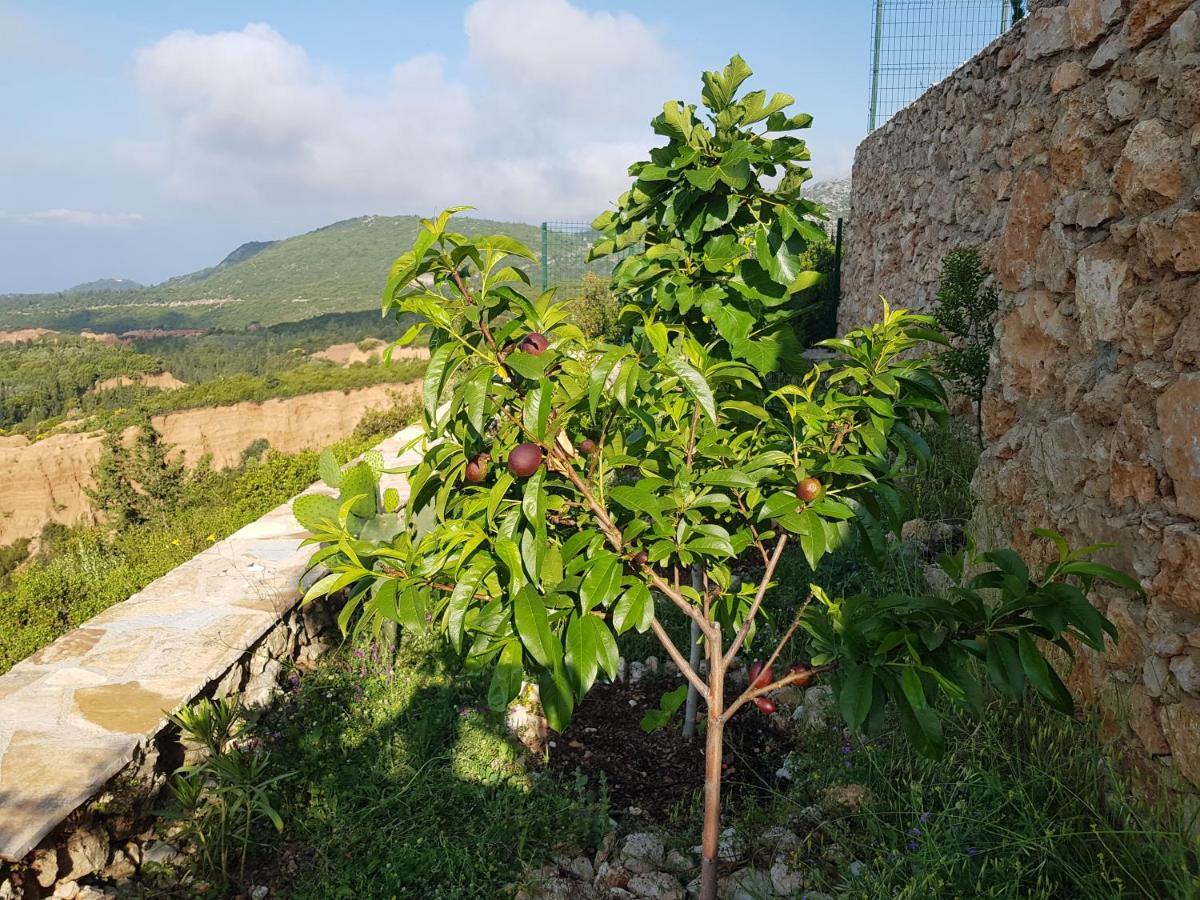 Gasthaus Vila Tatjana Vuno Exterior foto